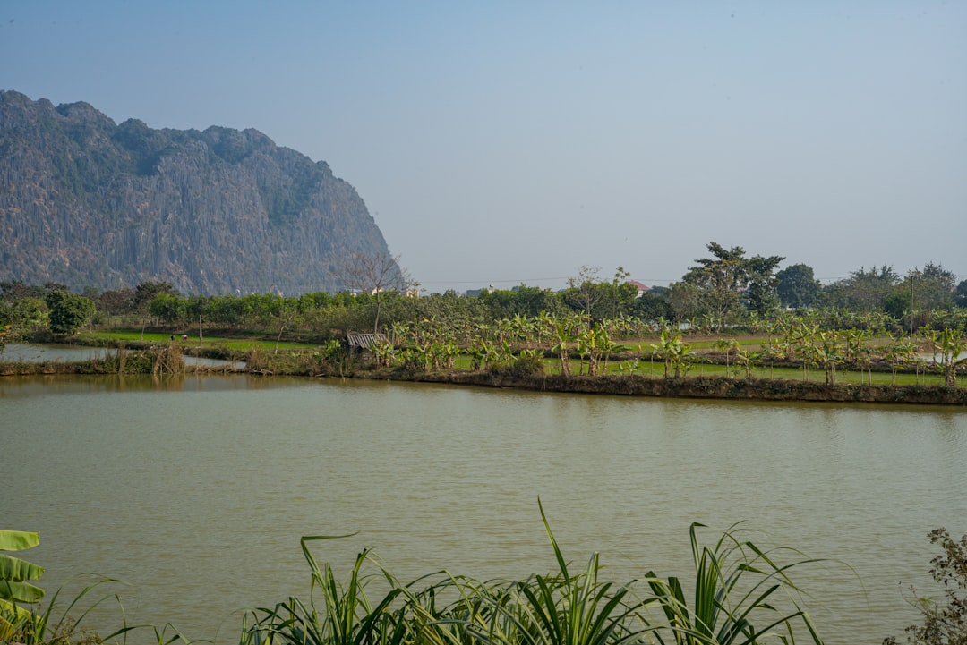 du lịch Quy Nhơn